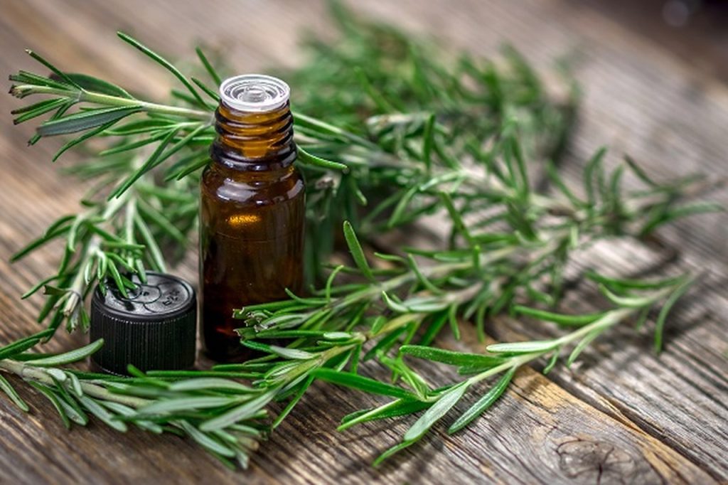 rosemary essential oil for hair loss